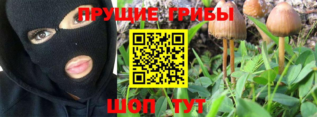 Галлюциногенные грибы Psilocybe  Вход с VPN  Апатиты 
